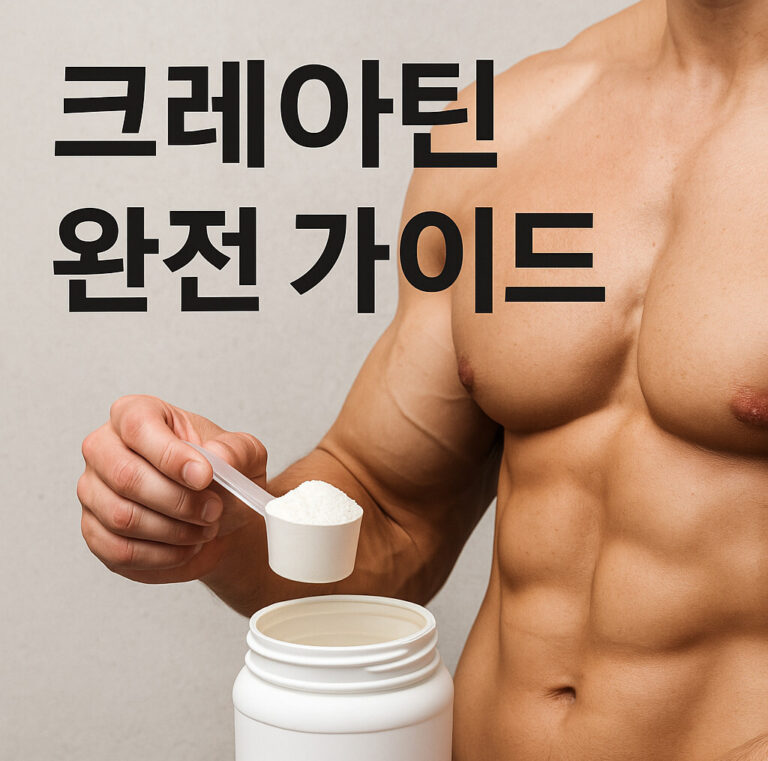 크레아틴 완전 가이드