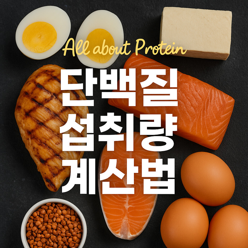 단백질 섭취량 계산법, 각종 단백질을 어떻게 얼마나 섭취해야 하는지 확인